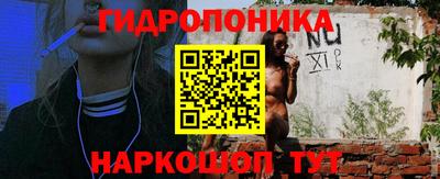 дурь Гусев